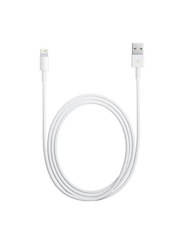MD818 iPhone 5 Lightning Data Cable White (Bulk)